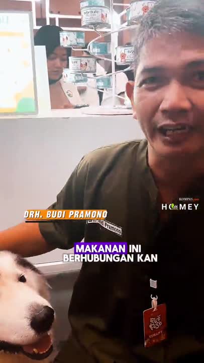 Tips Memberi Makan Anjing Peliharaan Menurut Dokter Hewan #shorts