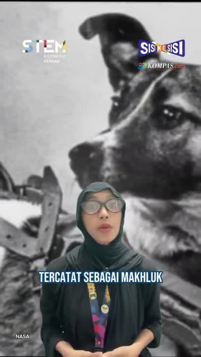 Laika si "Anjing Astronot"