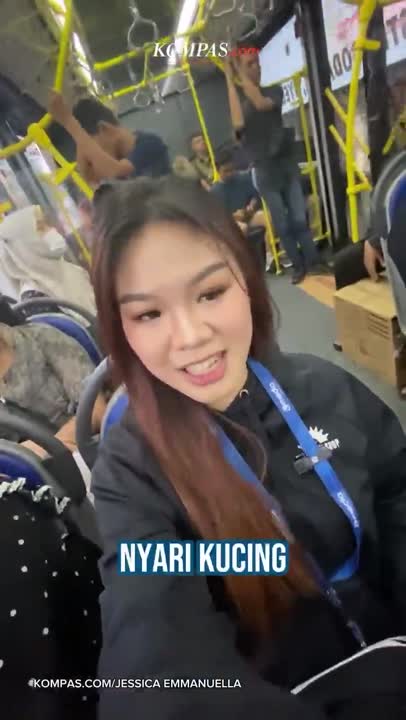 Kucing Abu dan Gengnya, Bintang Baru di Stasiun MRT Dukuh Atas