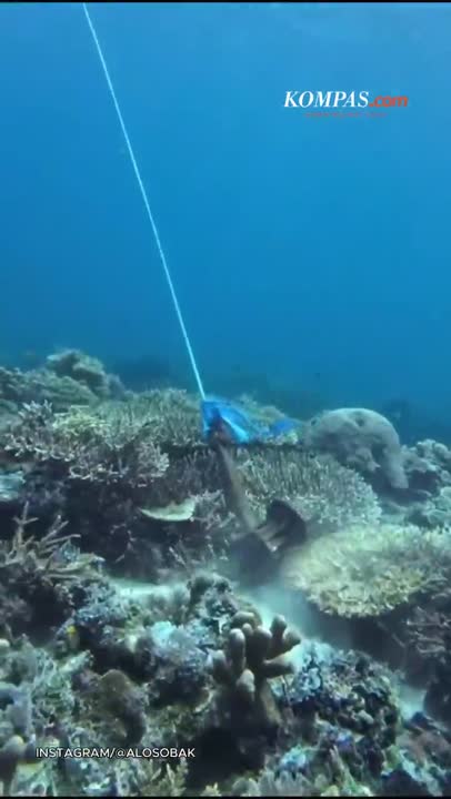 Jangkar Kapal Wisata Rusak Terumbu Karang Labuan Bajo