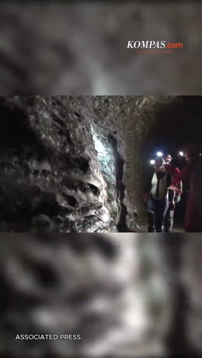 Merinding! Jaring Laba-laba Terbesar Ditemukan, Penghuninya 100 Ribu