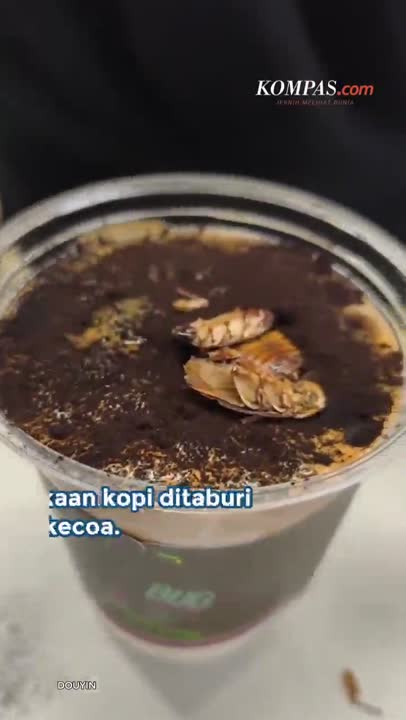 Kopi Kecoa di Museum China, Pengunjung: Rasanya Gosong, Sedikit Asam