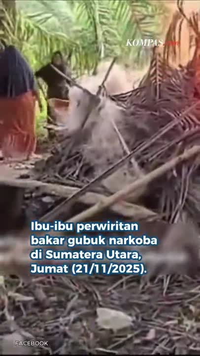 Viral Ibu-ibu Bakar Gubuk Narkoba di Perladangan Sawit Langkat, Polisi Buka Suara