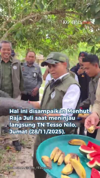 Perintah Prabowo: Pulihkan Habitat Gajah Di Tesso Nilo