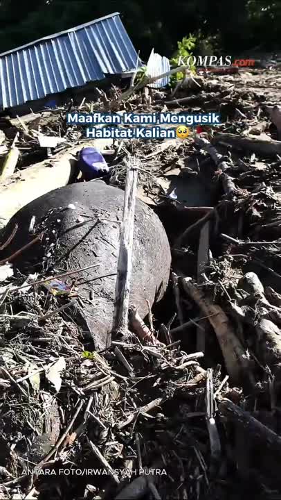 Maafkan Kami Mengusik Habitat Kalian
