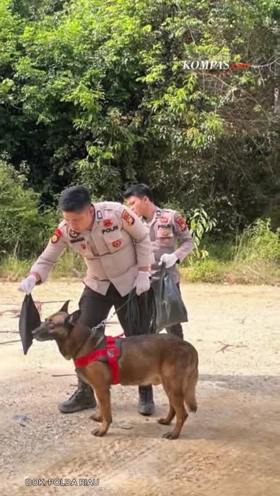 Penghormatan Terakhir Untuk Reno, Anjing K9 Gugur Saat Cari Korban Bencana Sumatera