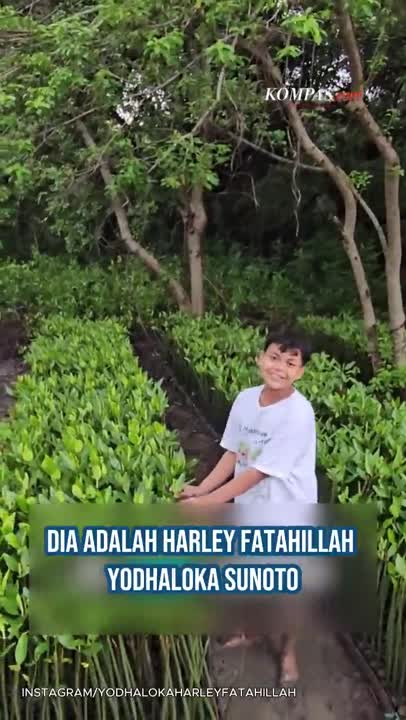 Harley Remaja Pejuang Mangrove, Tanam Demi Lindungi Masa Depan Surabaya