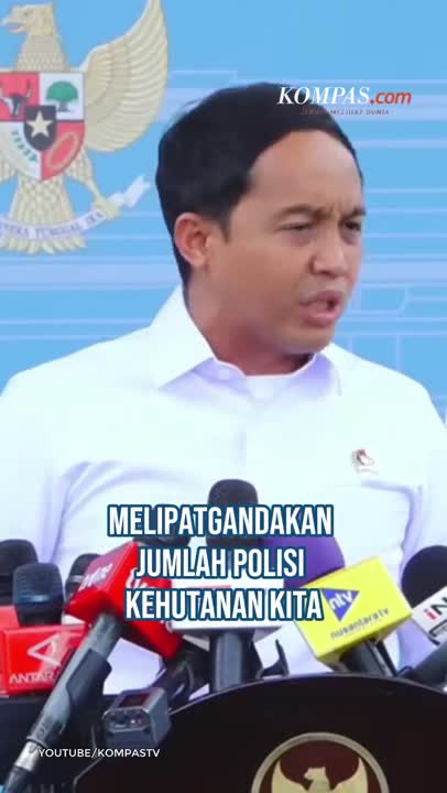 Menhut: Perintah Presiden, Polisi Hutan Dilipatgandakan Demi Cegah Pembalakan Liar