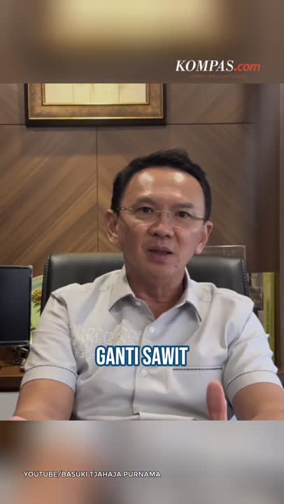 Ahok: Bekas Tambang Boleh Ditanami Sawit, Tapi Jangan Hutan Papua