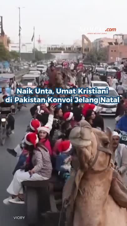 Naik Unta, Umat Kristiani Di Pakistan Konvoi Jelang Natal