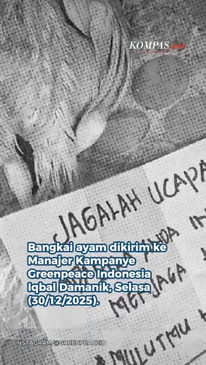 Teror Bangkai Ayam Dan Telur Busuk Ke Aktivis Greenpeace Hingga Kreator Konten