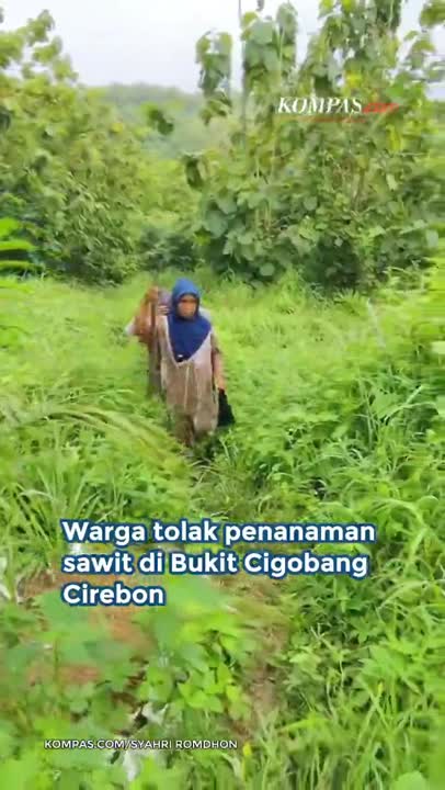 Ibu-ibu Tolak Sawit Di Bukit Cirebon: Kami Tak Mau Wariskan Musibah Ke Anak Cucu