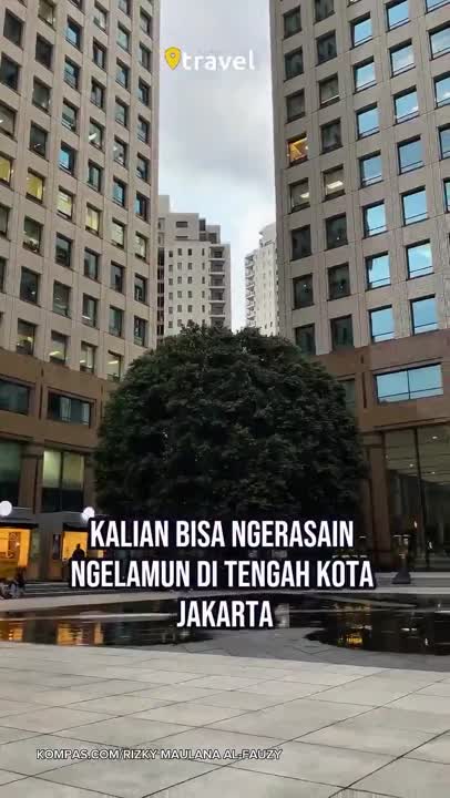 NGELAMUN TAPI BERASA DI TAMAN NEW YORK
