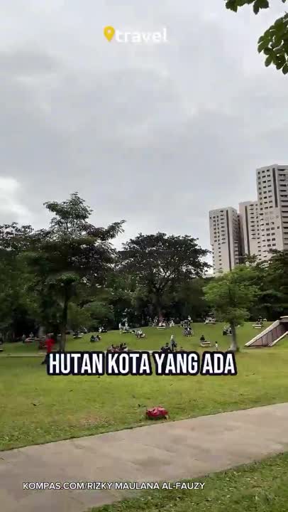 HUTAN TENGAH KOTA JAKARTA