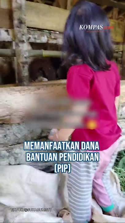 Cerita Ibu di Sukabumi: Ternak Kambing Pakai Dana PIP demi Pendidikan Anak