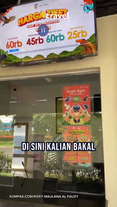 Serunya Main Burung Di TMII, Bisa Pegang Langsung