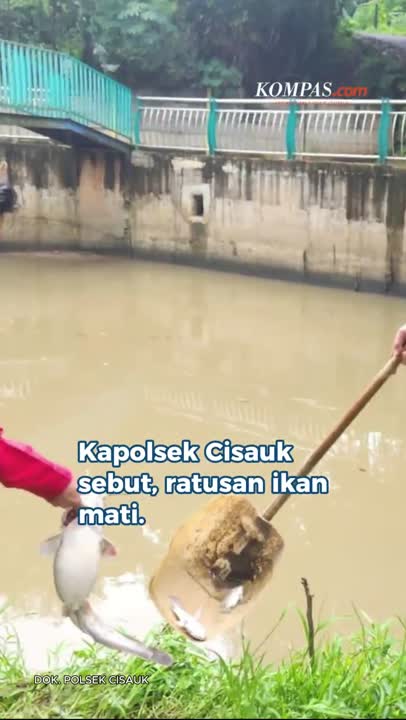 Kebakaran Gudang Pestisida Cemari Sungai, Banyak Ikan Mati