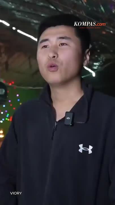 Kandang Disulap bak Tempat Dugem, Babi "Party" Tiap Hari