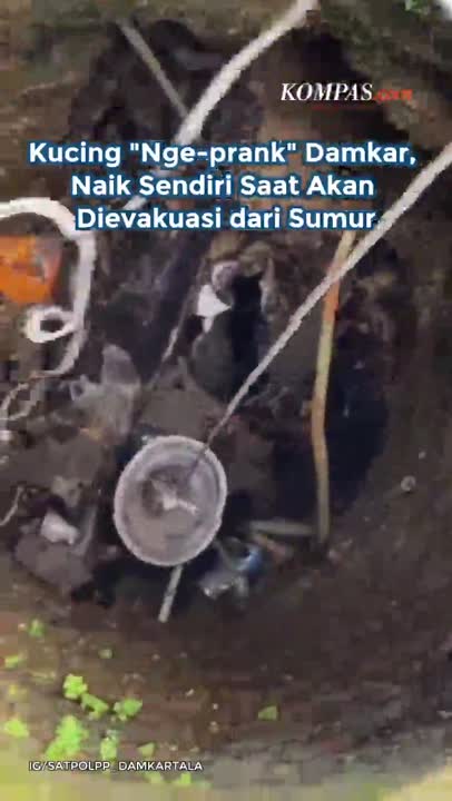 Kucing "Nge-prank" Damkar, Naik Sendiri Saat Akan Dievakuasi Dari Sumur