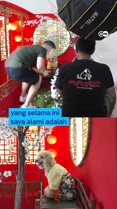 Menangkap Kepribadian Hewan Lewat Lensa