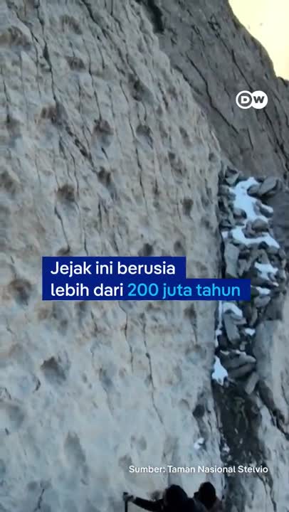 Ribuan Jejak Kaki Dinosaurus Ditemukan Di Italia Utara