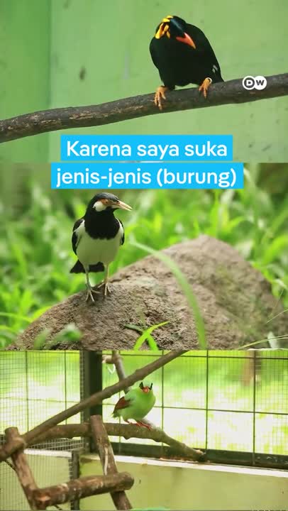 Menjaga Kicau Nusantara: Jochen Menner, Dan Misi Konservasi