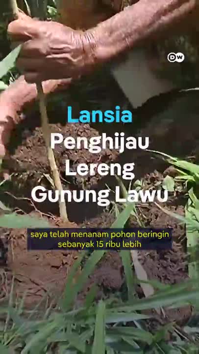 Lansia Penghijau Lereng Gunung Lawu