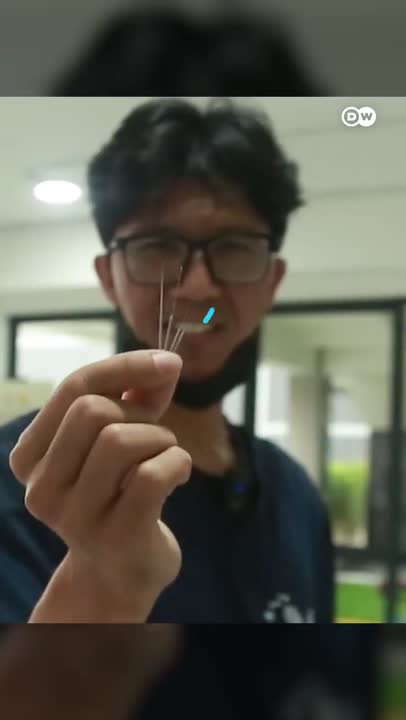 Hewan juga bisa diakupuntur!