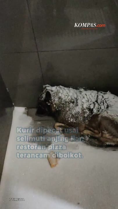 Restoran Pizza Pecat Karyawan Usai Selimuti Anjing Kedinginan, Warga Ancam Boikot