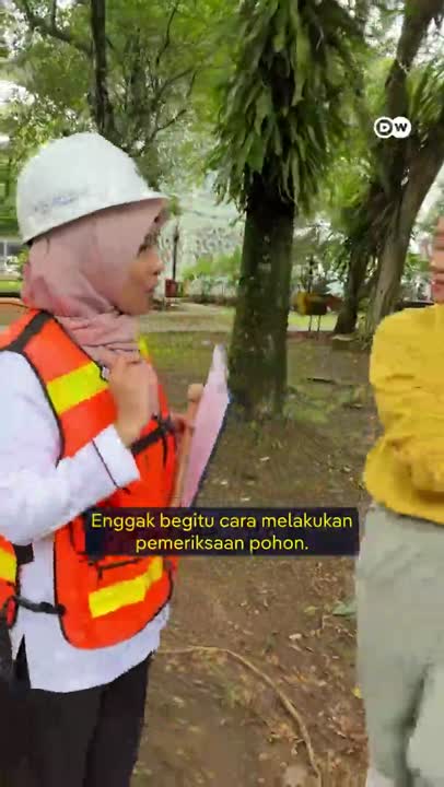 Kenalan dengan Arboris, ‘Dokter Pohon’ di Perkotaan