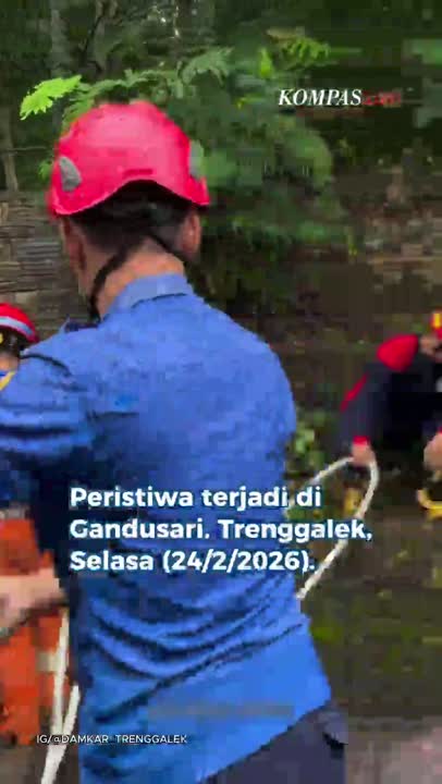 Momen Damkar Selamatkan Kerbau Bule 500 Kg dari Septic Tank