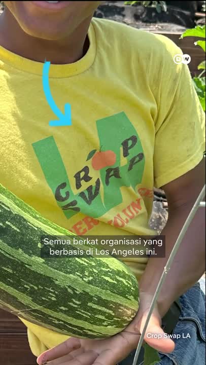 Berkebun di Halaman Depan Rumah