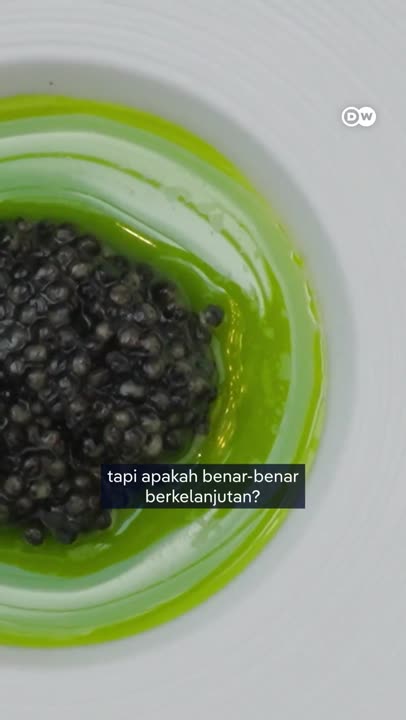 Makan Kaviar Tanpa Bunuh Ikan, tapi Apa Berkelanjutan?