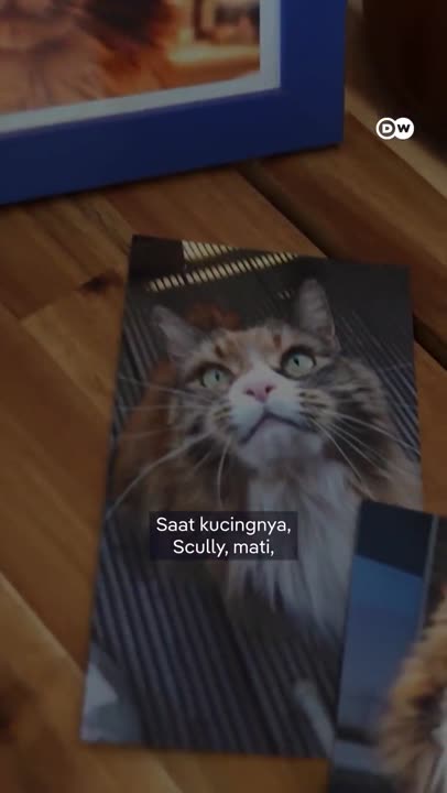 Konseling Duka untuk yang Ditinggal Mati Hewan Kesayangan