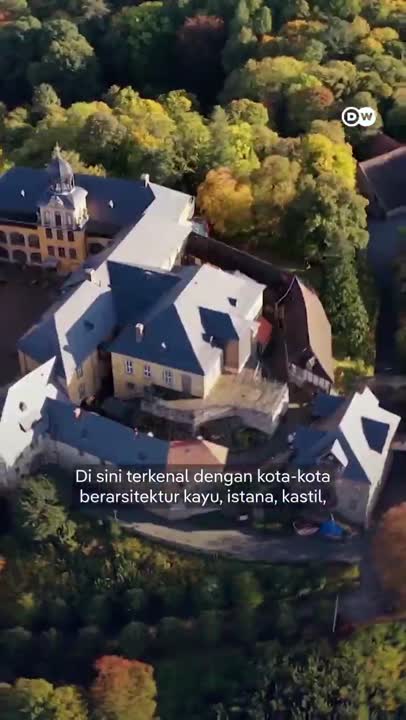 Bagaimana Wilayah Harz Yang Populer Di Jerman Mengatasi Hutan Yang Mati?