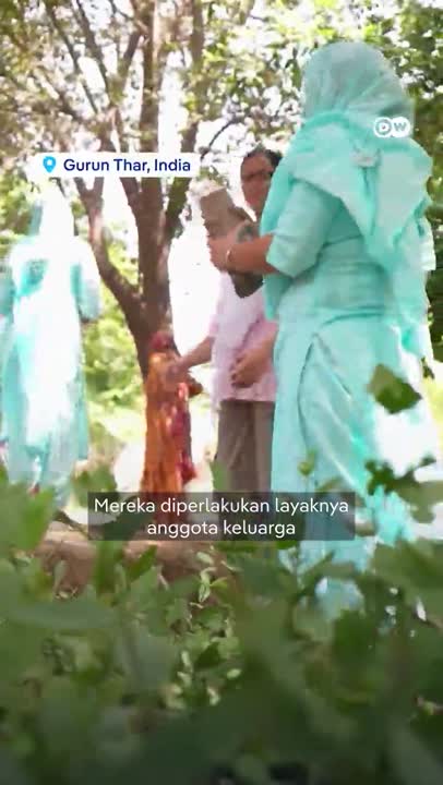 Pohon Dianggap Jadi Anggota Keluarga