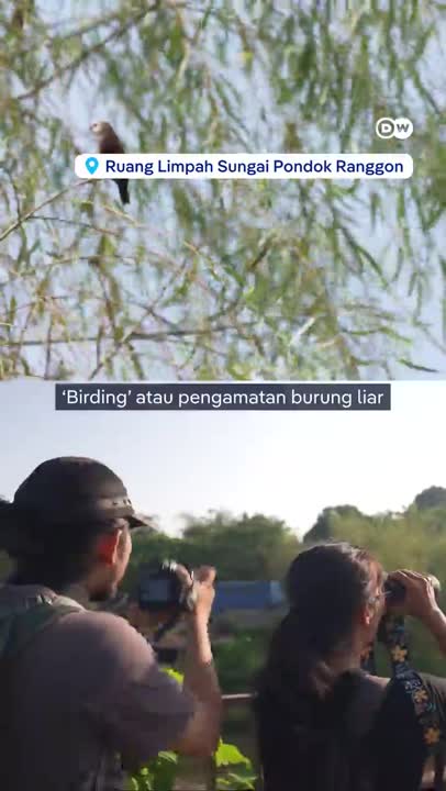 Burung-Burung Urban, Penanda Kualitas Lingkungan Perkotaan