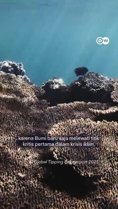 Benarkah Terumbu Karang Akan Segera Punah?