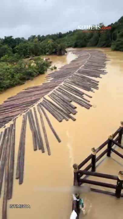 Viral Kayu Gelondongan Di Sungai Kapuas, Kemenhut: Proses Hukum Jika Melanggar