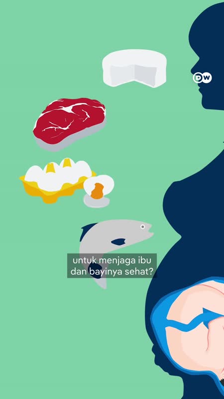 Sedang Hamil? Ini Yang Tidak Boleh Dimakan Selama Kehamilan