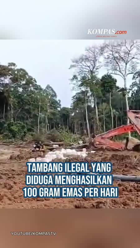 Tambang Emas Ilegal Di Sungai Batang Gadis Digerebek, Omzet Capai 100 Gram Per Hari