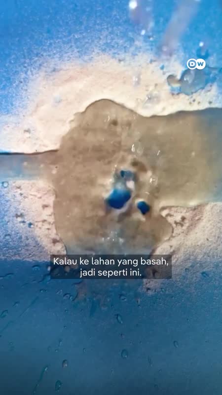 Merestorasi Kembali Lahan Basah