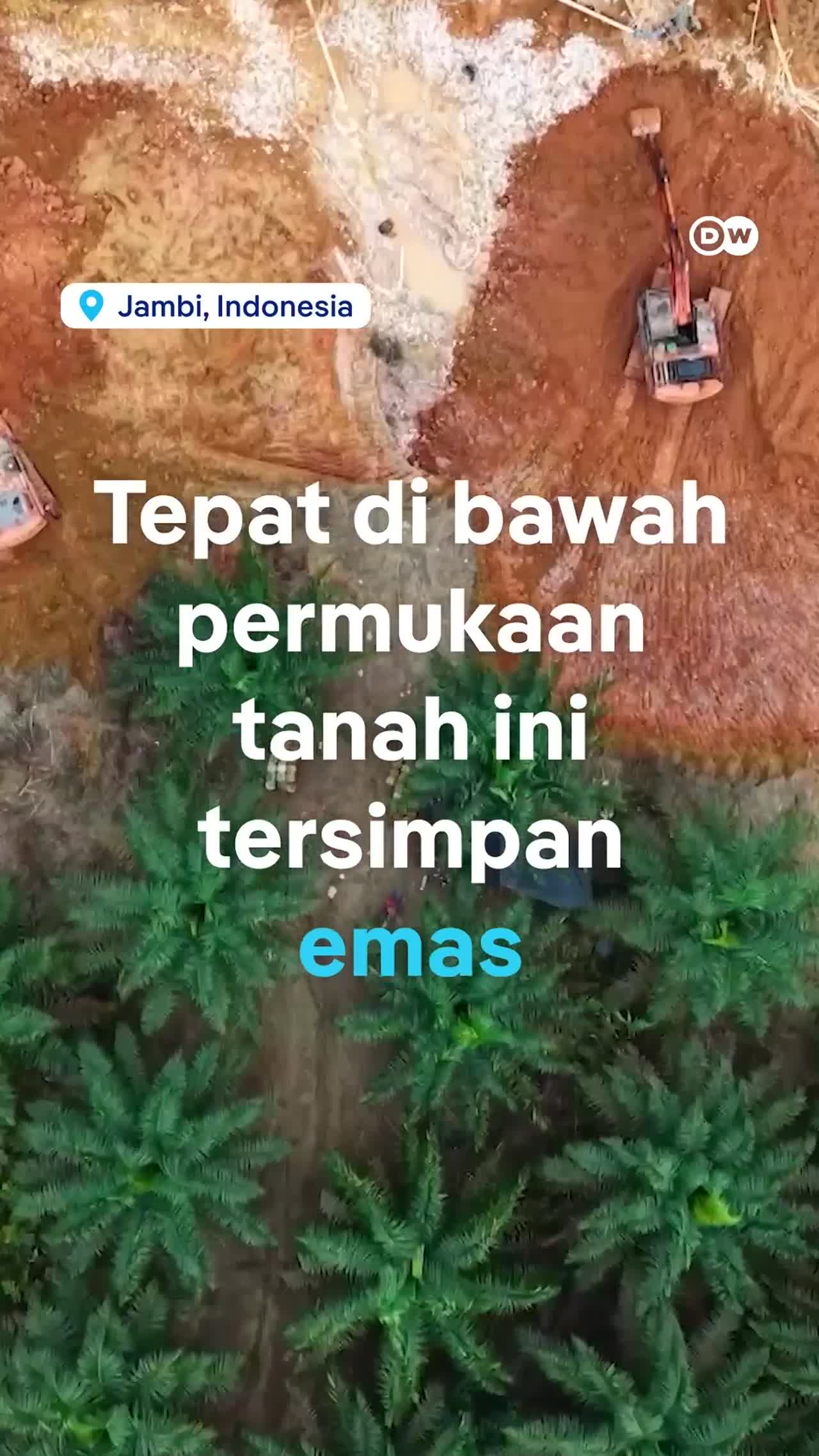 Jaringan Tersembunyi Tambang Emas Ilegal Di Indonesia