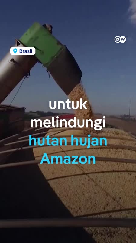 Kesepakatan untuk Melindungi Hutan Hujan Amazon Kandas