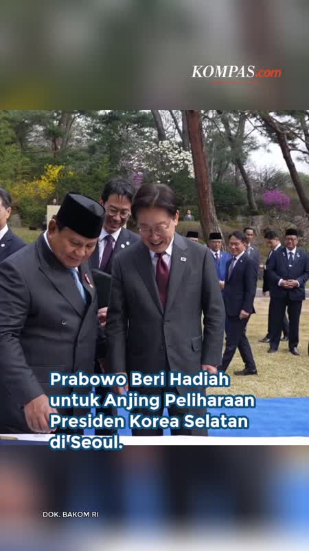 Diplomasi ‘Anabul’ ala Prabowo, Hadiahkan Baju untuk Anjing Peliharaan Presiden Korsel