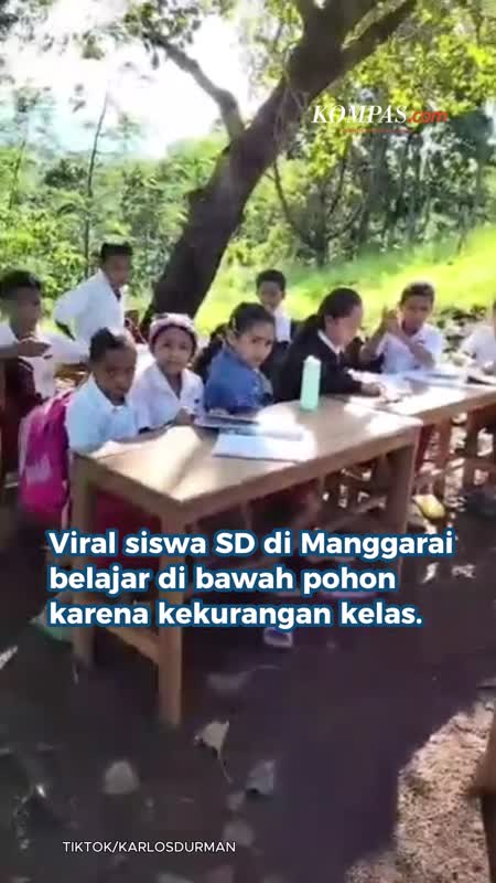 Ruang Kelas Kurang, Murid SD di Manggarai Barat Belajar di Bawah Pohon
