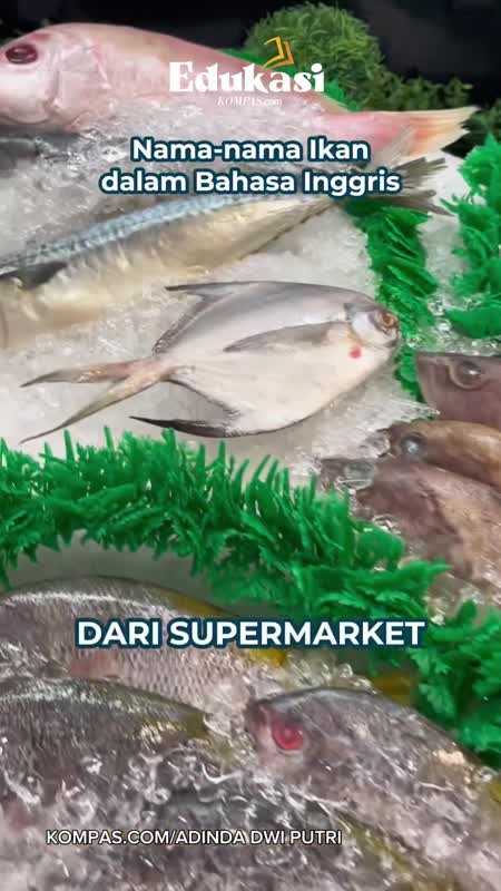 Belajar Nama-nama Ikan dalam Bahasa Inggris