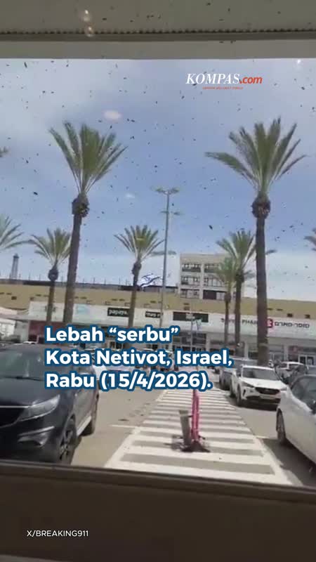 Lebah "Serbu" Kota Di Israel, Pemerintah Keluarkan Peringatan