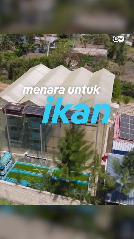 Sebuah Menara bagi Ikan?