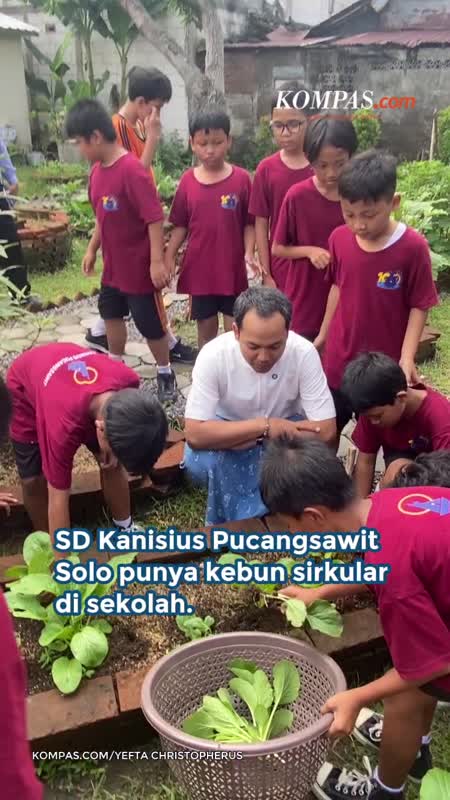 SD Kanisius Pucangsawit Solo Punya Kebun Sirkular, Siswa Bisa Panen Sayur
